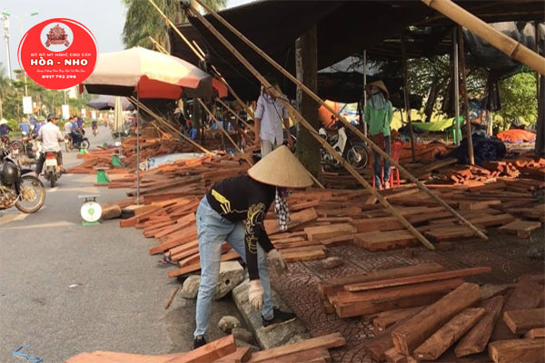 Gỗ Đồng Kỵ Nguồn Gỗ Quý Hiếm Cho Nghệ Thuật Và Nội Thất Gỗ Đồng Kỵ Nguồn Gỗ Quý Hiếm Cho Nghệ Thuật Và Nội Thất